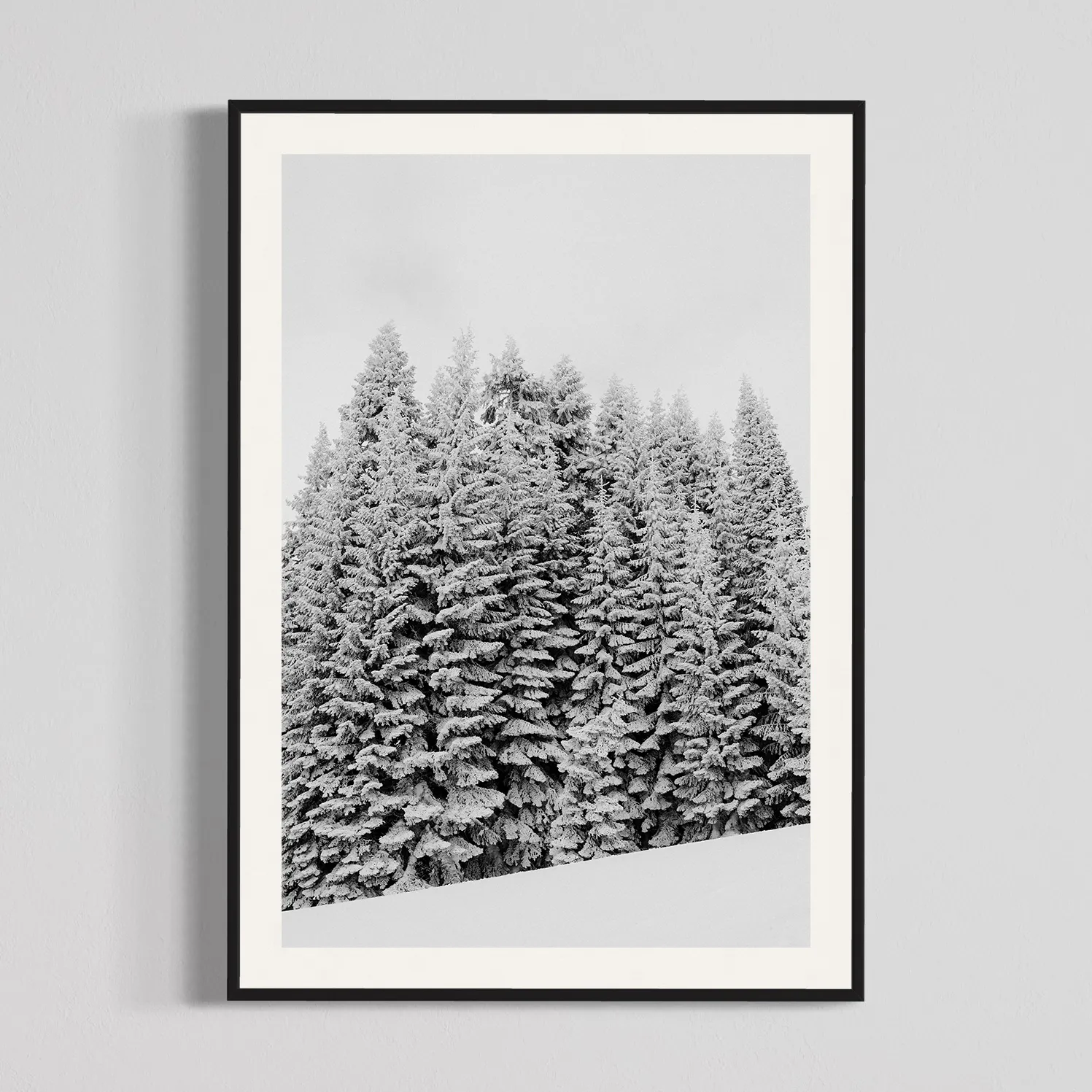 Frozen Forest, photography print by Will Van Eaton