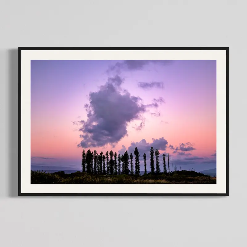 Maui Trees at Sunrise, photography print