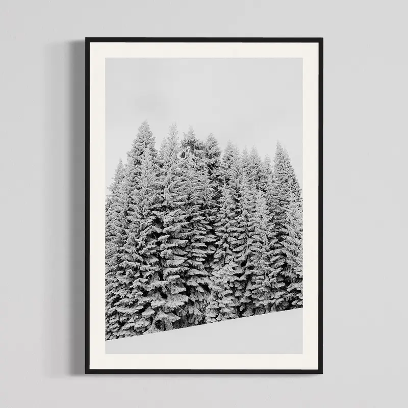 Frozen Forest, photography print